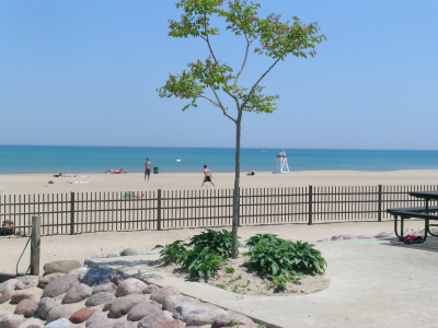 Custom Built Fence & Deck Image